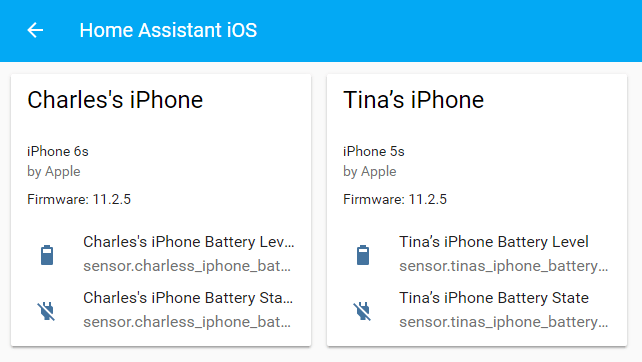 Screenshot showing the devices of a config entry