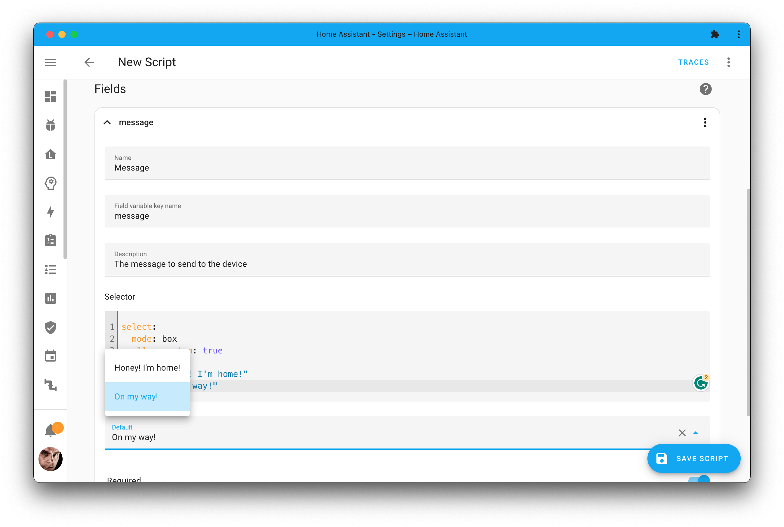 Screenshot showing the scripts fields in the UI while editing a script in the script editor.